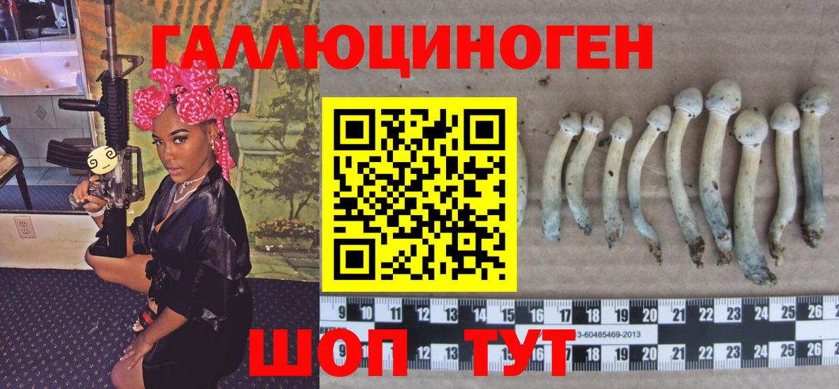 Галлюциногенные грибы GOLDEN TEACHER Саратов