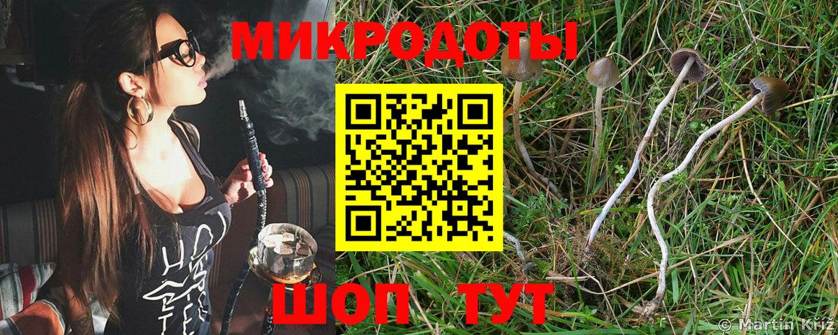 Саратов  Галлюциногенные грибы Psilocybine cubensis  Галлюциногенные грибы Magic Shrooms  Вход с VPN 